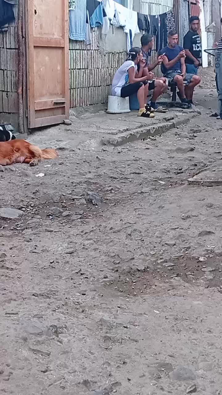 @zamilovaný