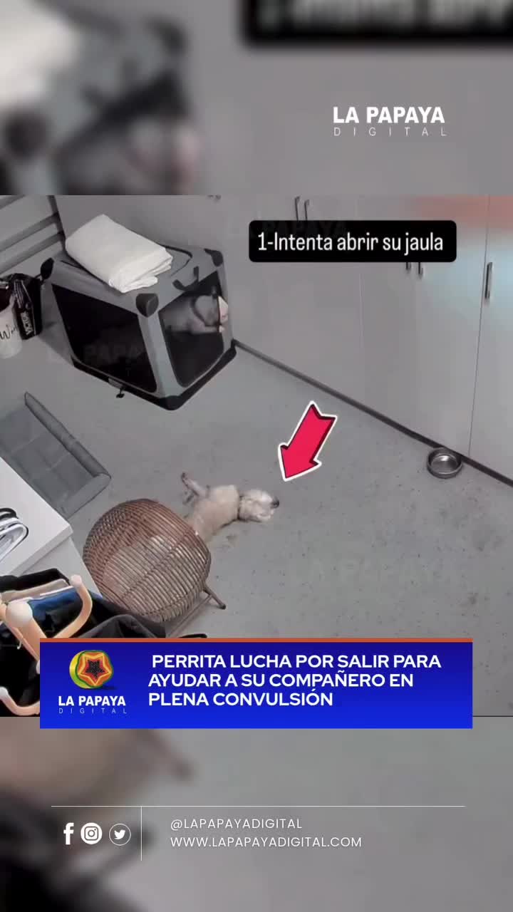 @LOLA🫧