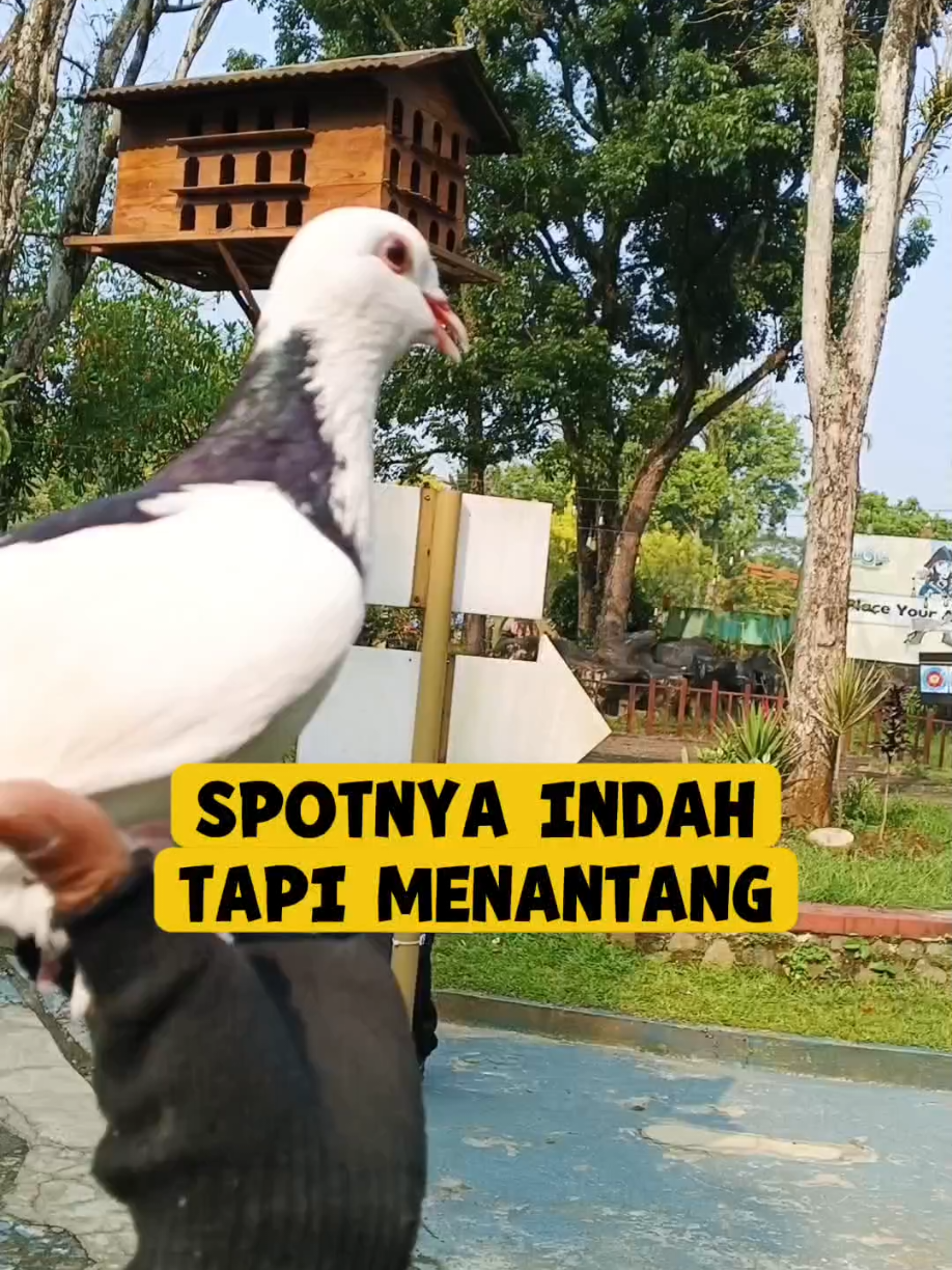 @BANG LEYON