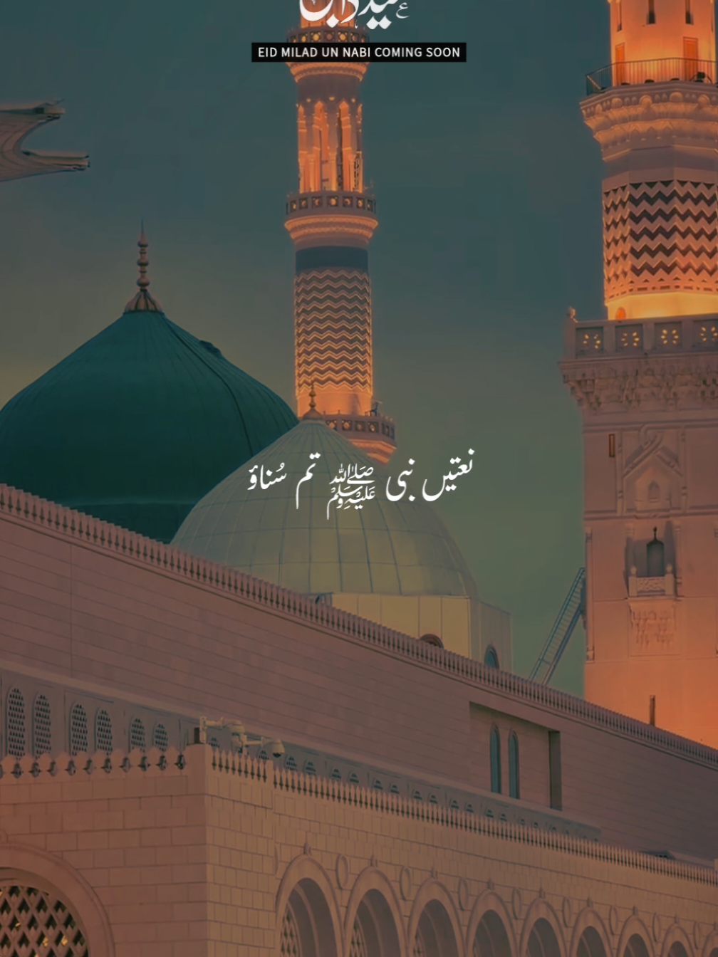 @✨𝙝𝙖𝙢𝙯𝙞𝙞✨