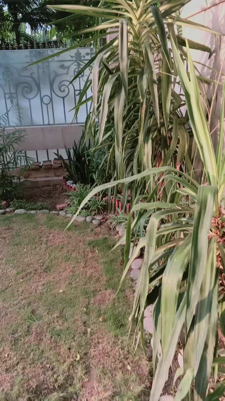@MR-JAGI_222