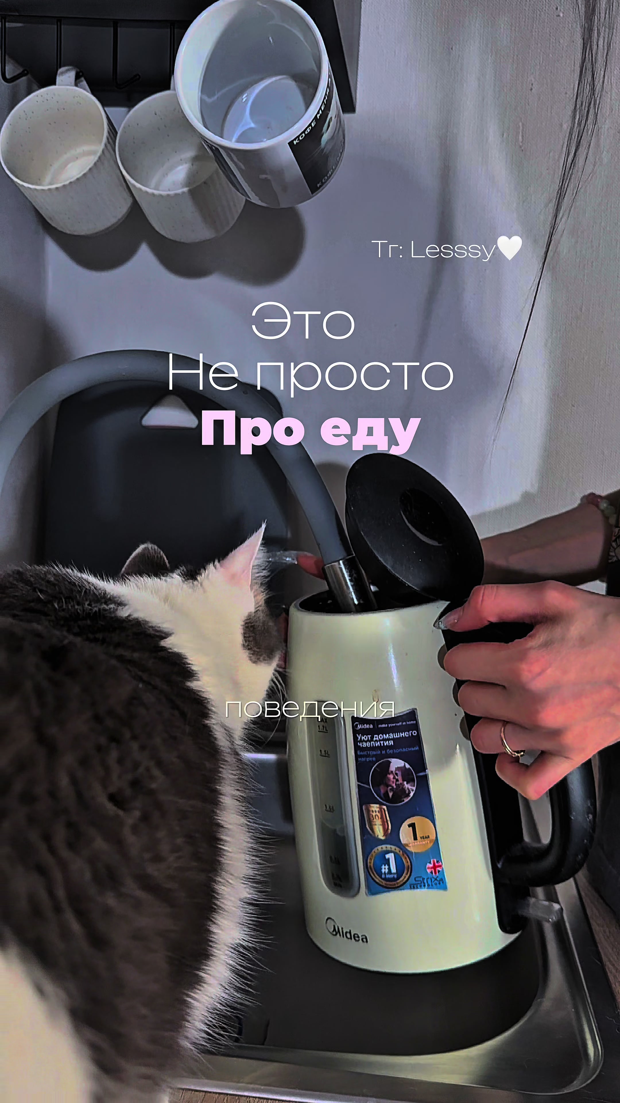 @ТГК: Lesssy🤍