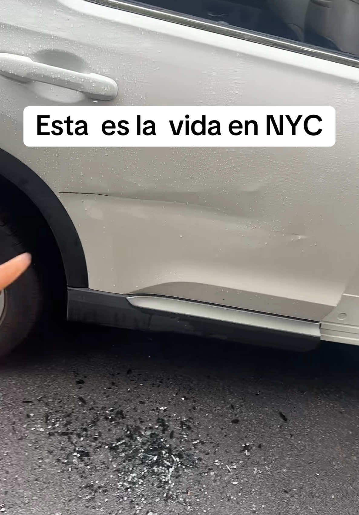 @Carolina |  La profe