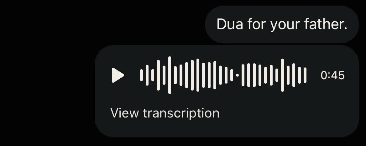 @dxb.mush
