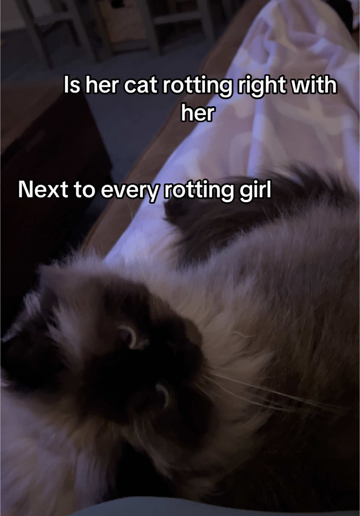 @Jessica