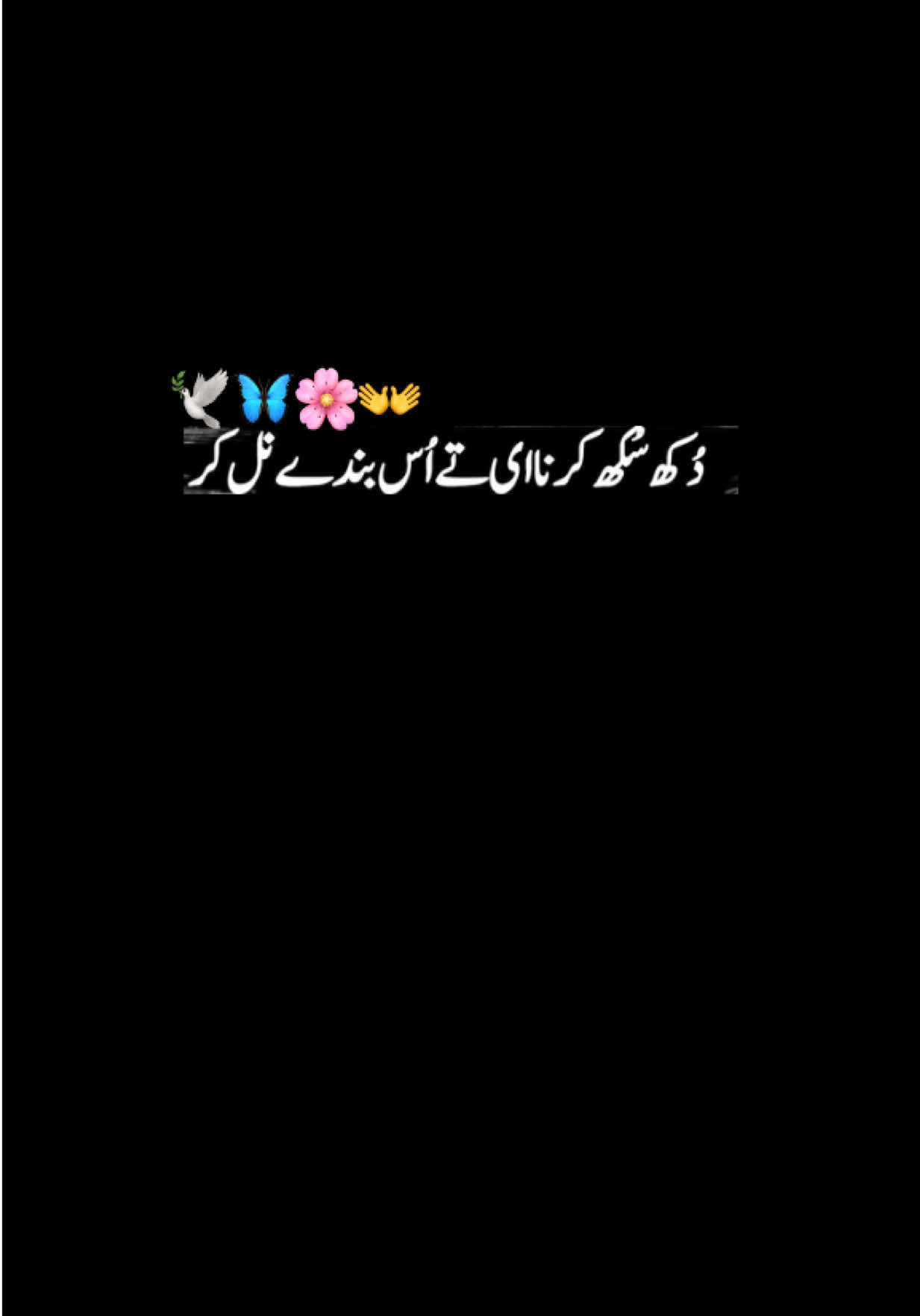 @Noor