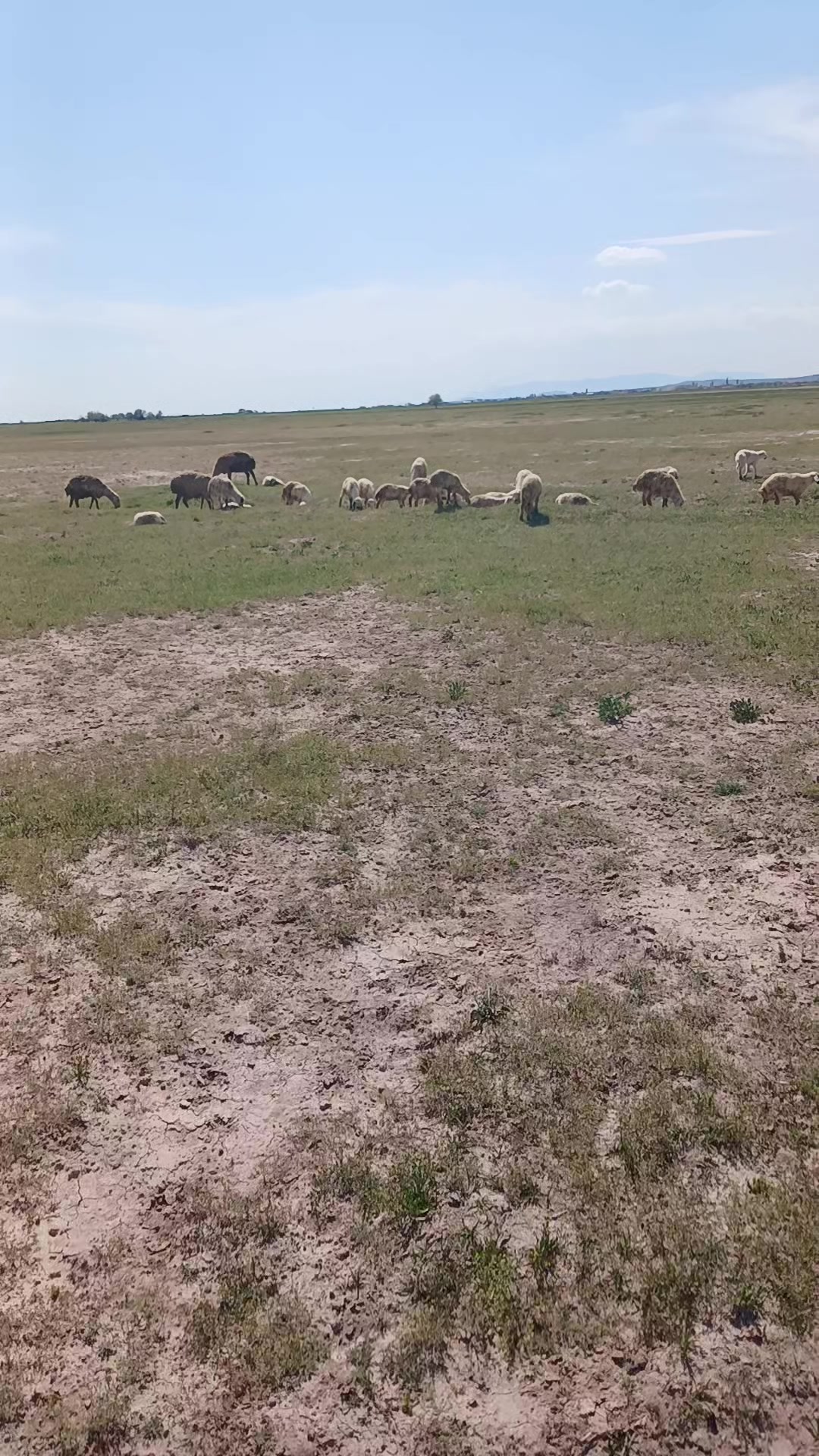 @Mustafa Doğan14667