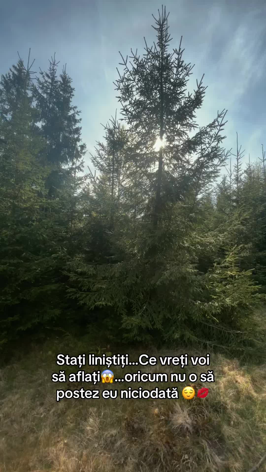 @Darius🌲