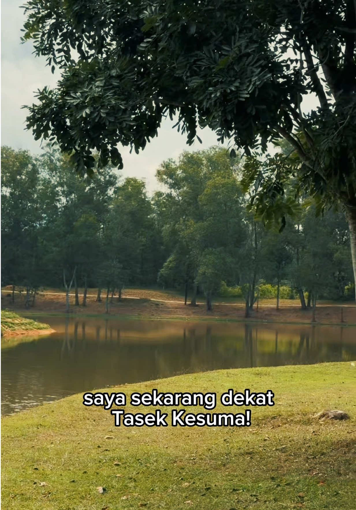 @Arrif Revanrao