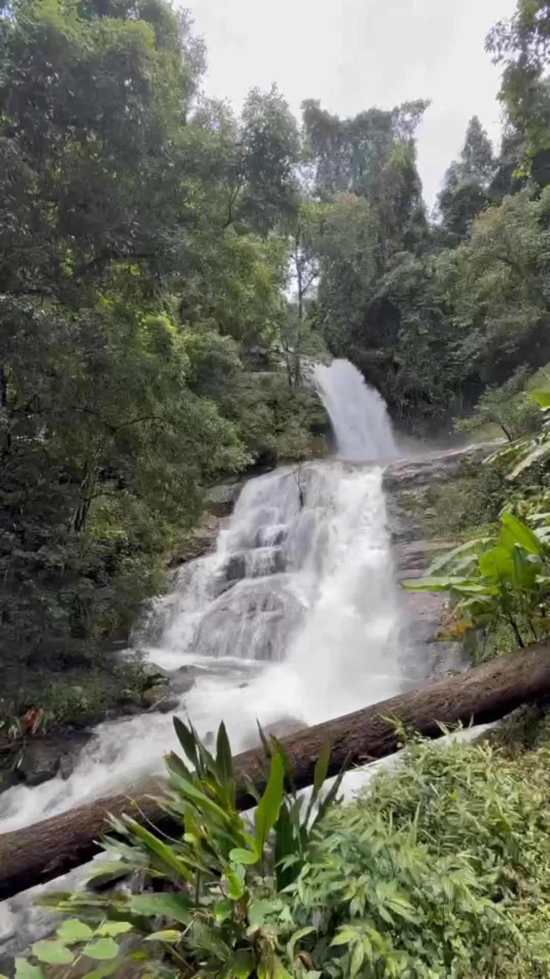 @Wan 🚖🎥🎧🌳⛰️💚🧡