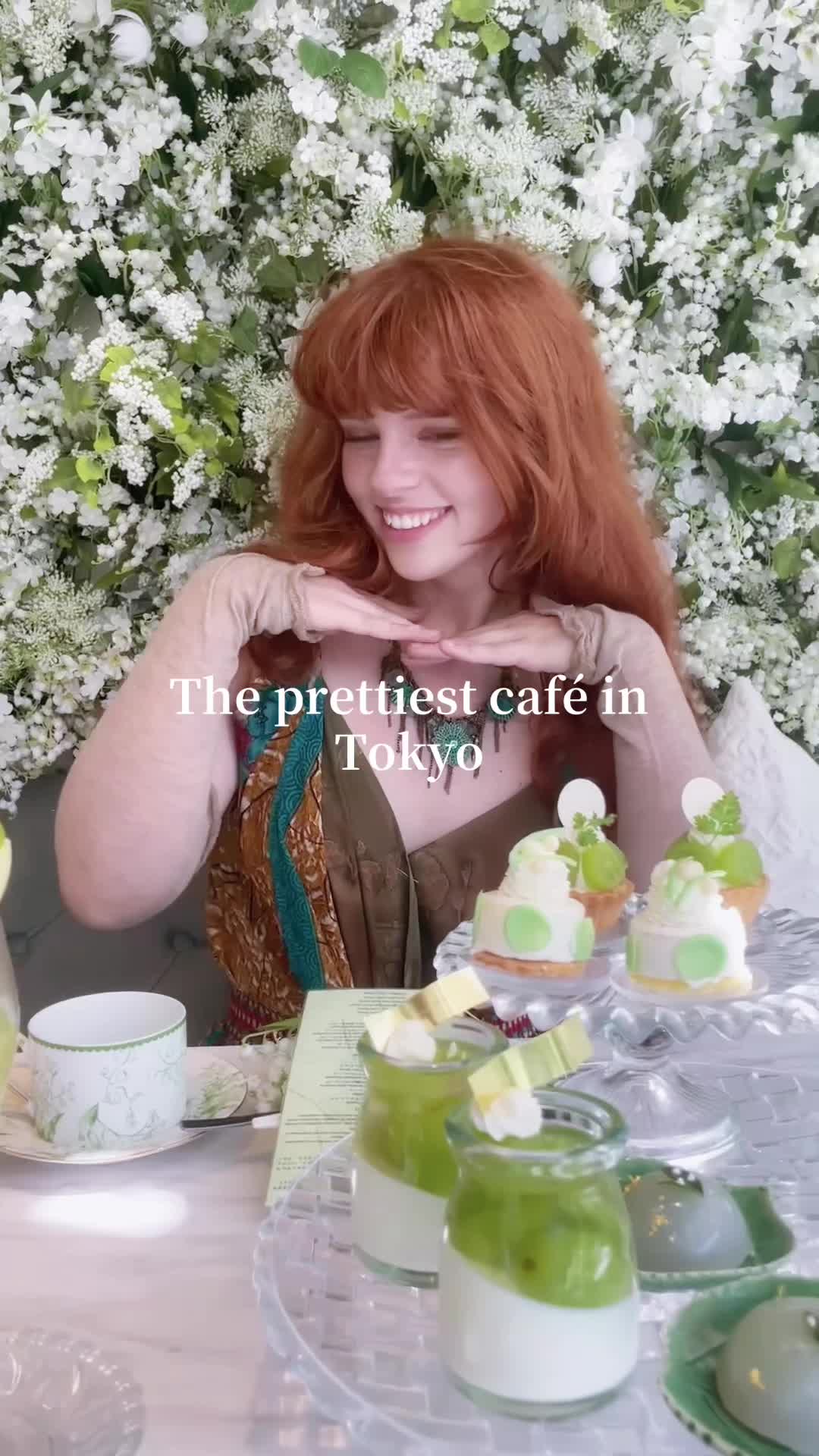 @tiger 🐯