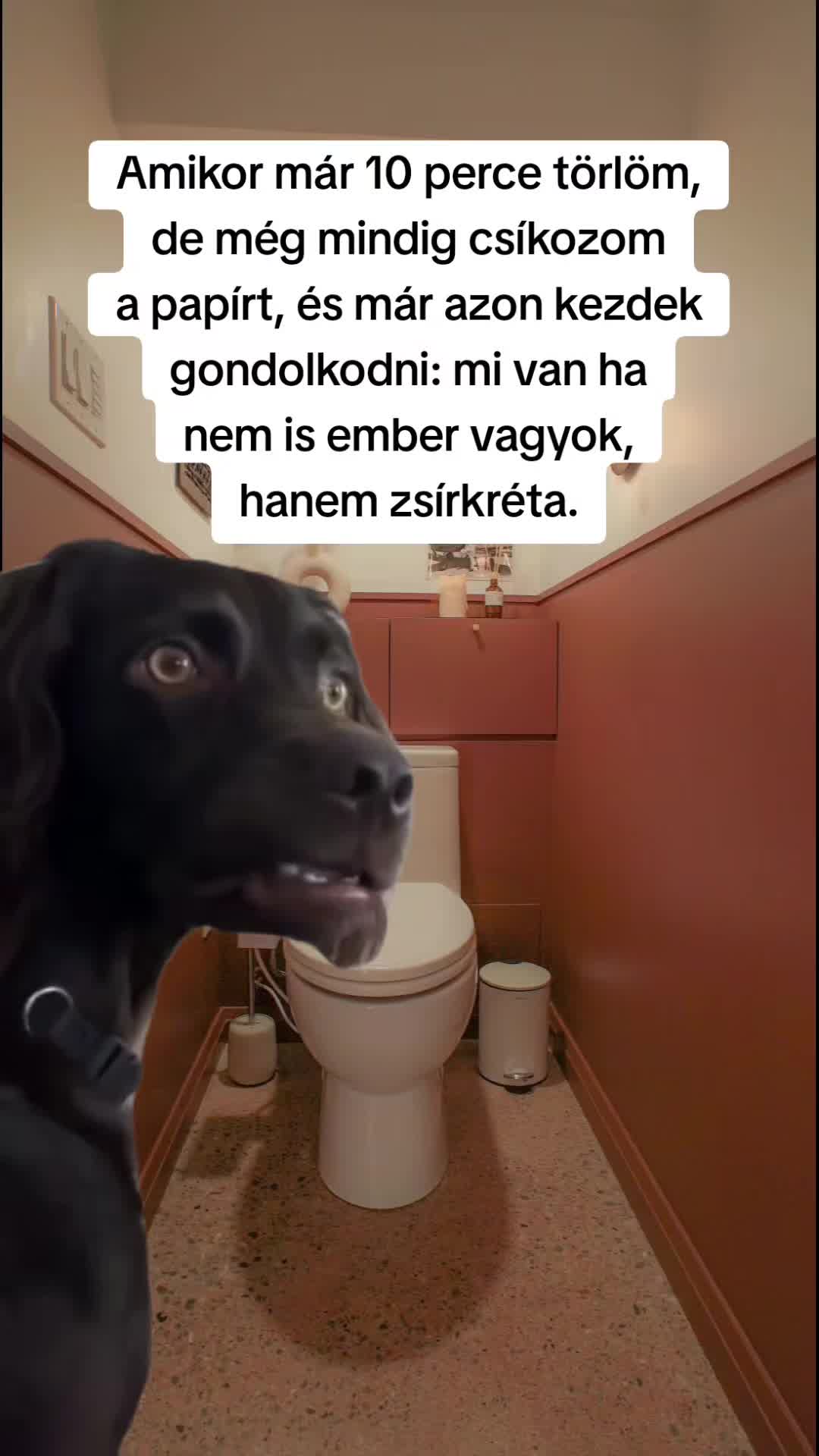 @🐼 Po&eacute;nPanda 🐼