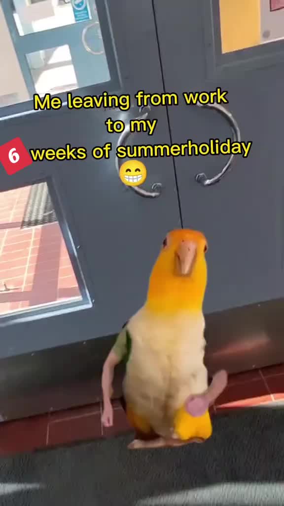 @TLara