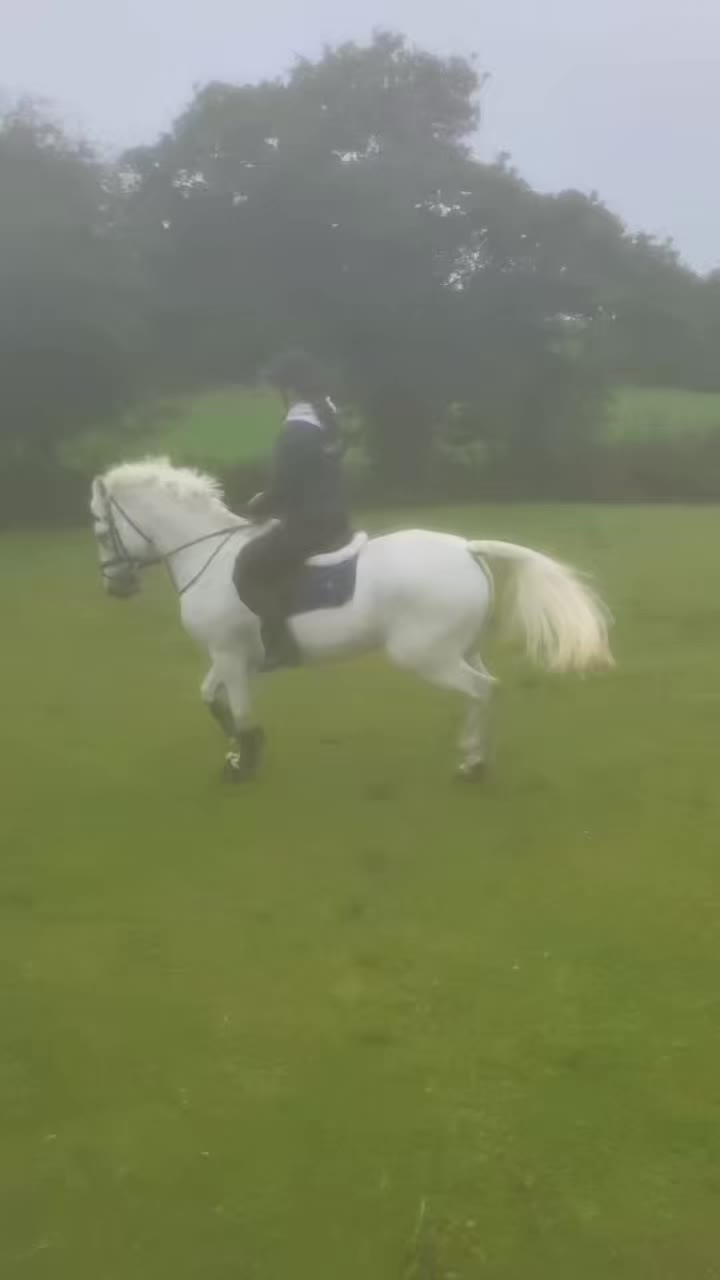 @amelia_showjumping2
