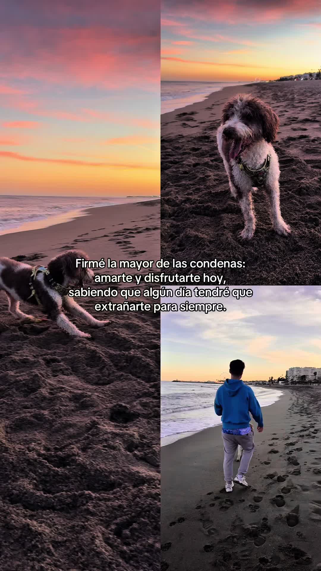 @CarlosEsp#25