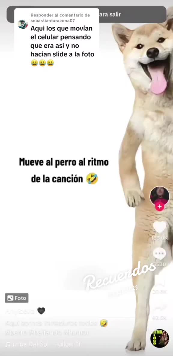 @El Androide Manco
