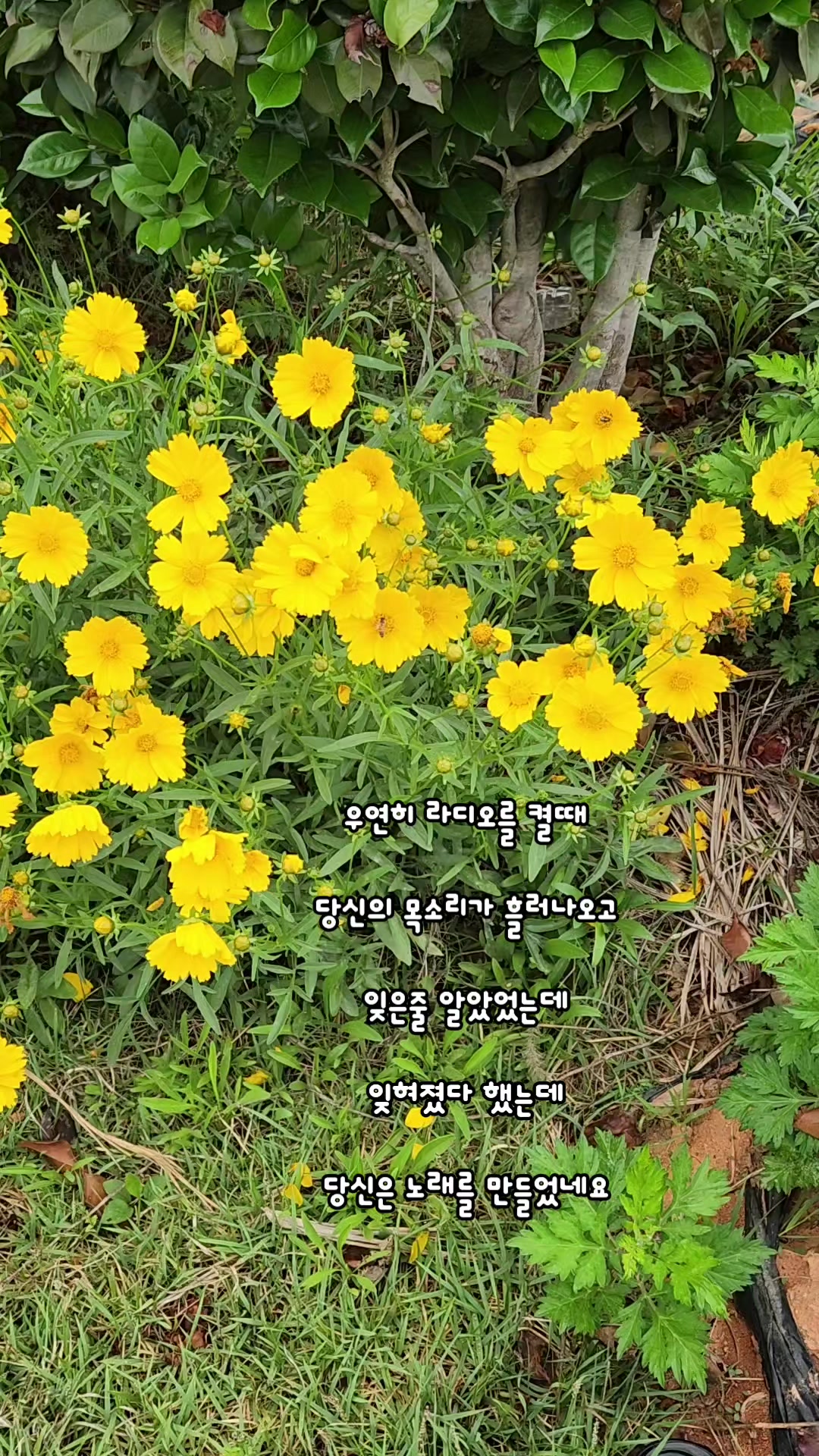@심심해