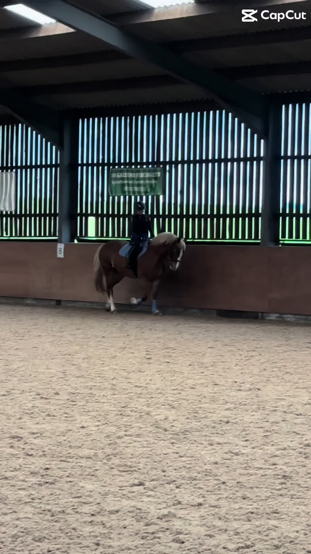@Ellie 🐴🏎️