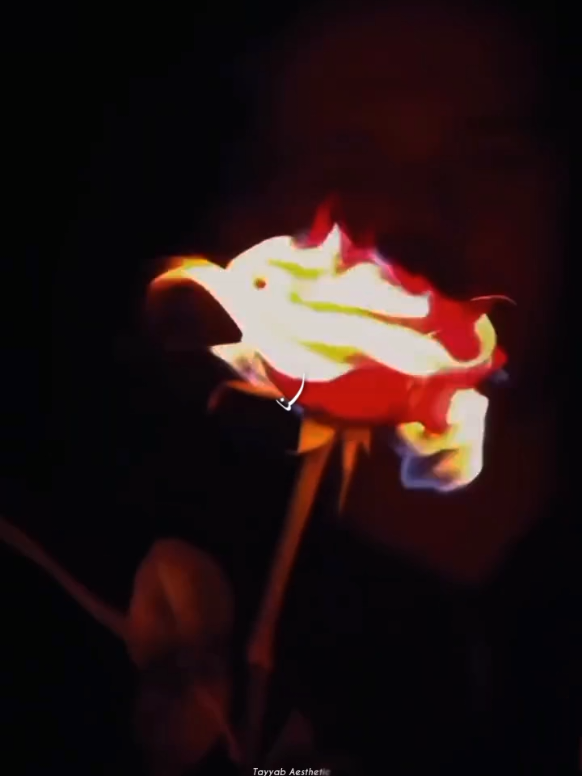 @𝙏 𝘼 𝙔 𝙔 𝘼 𝘽🍁&bull;