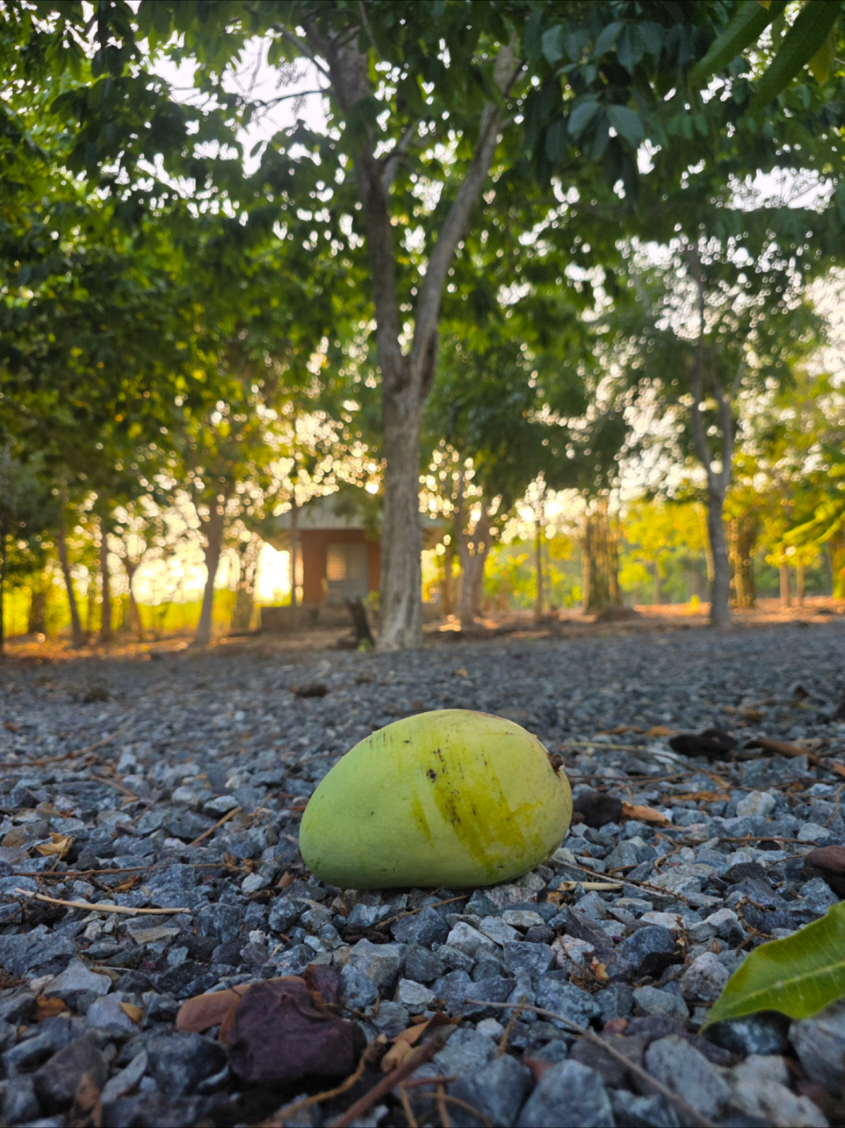 @Phước Bảo &Acirc;n