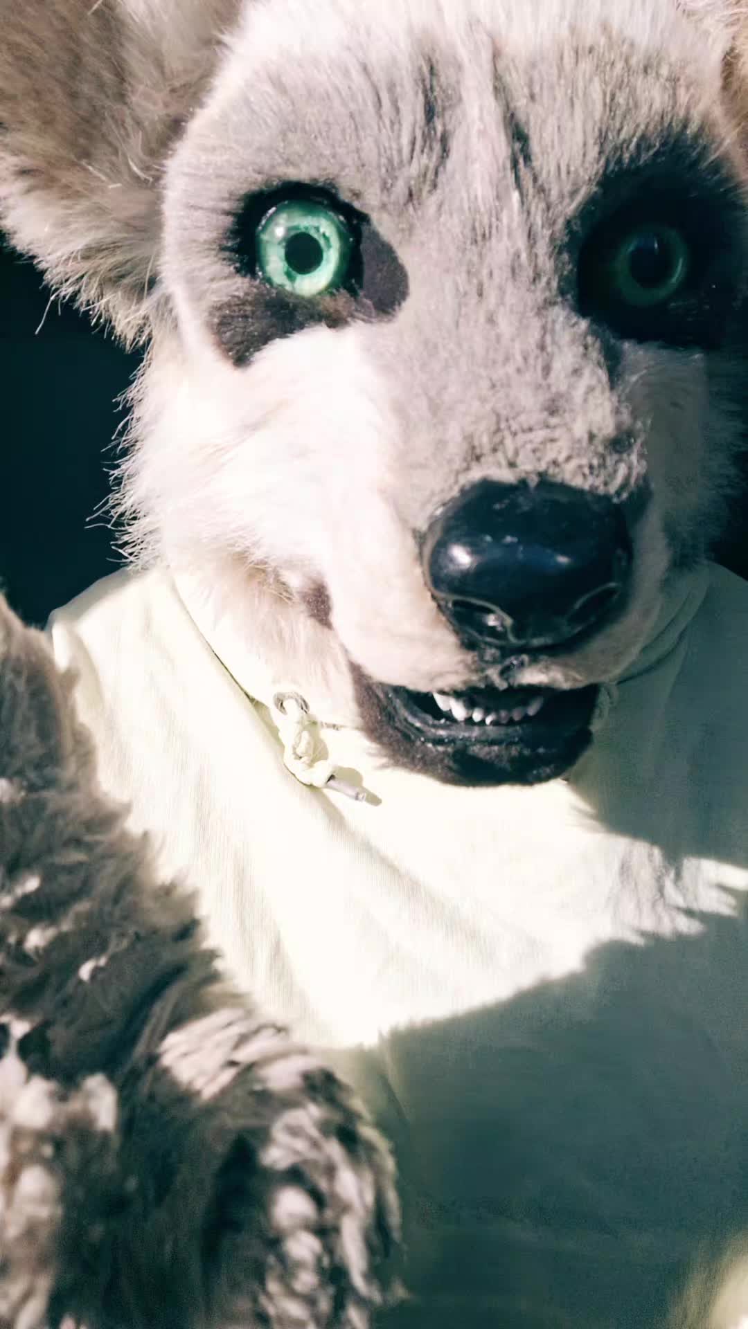 @ℂ/𝕃 🌟
