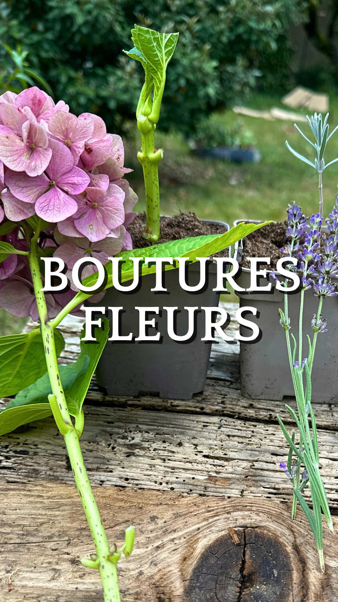 @Retour &agrave; la Terre