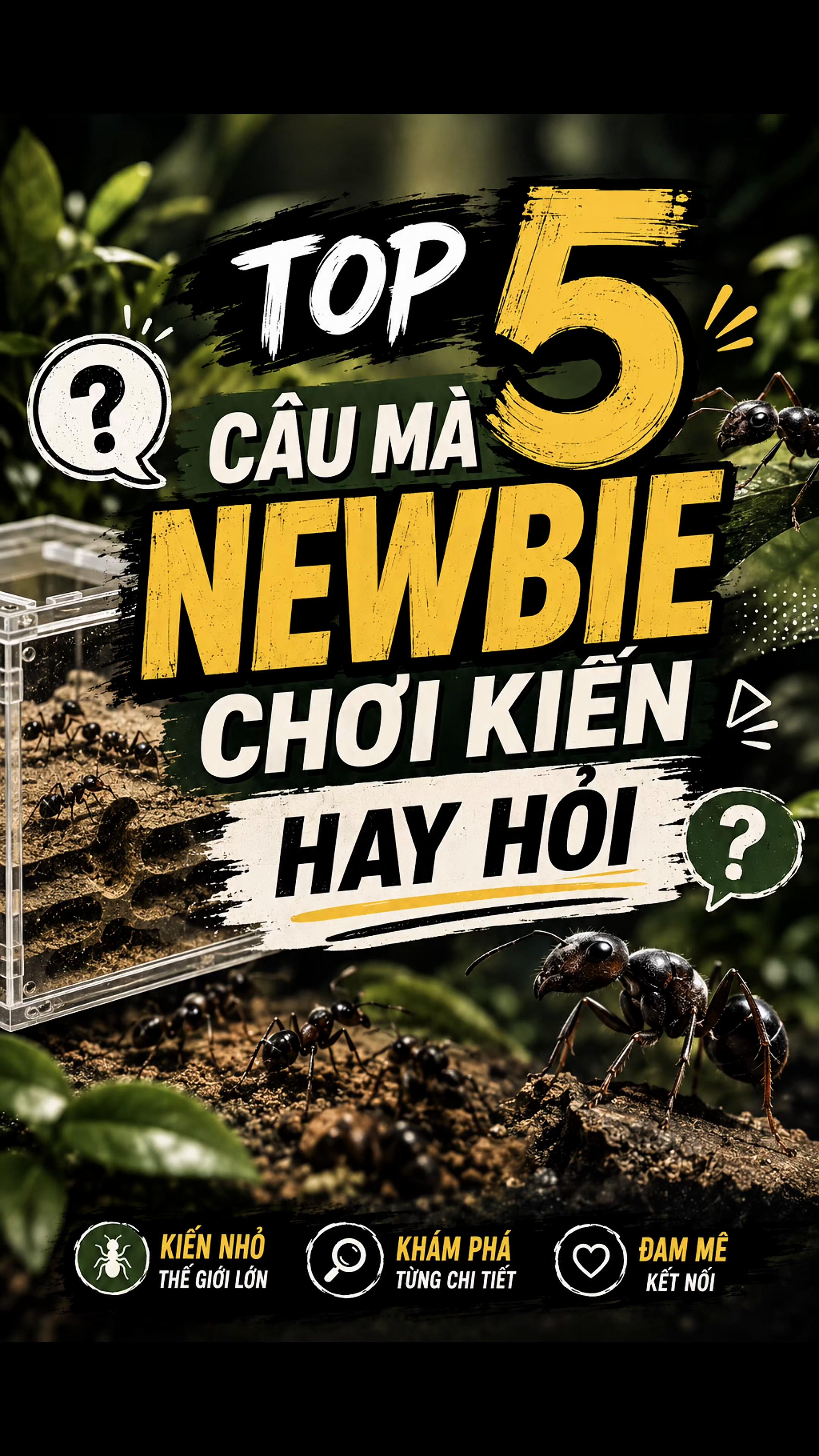 @Henry Thích Nuôi Kiến 🐜