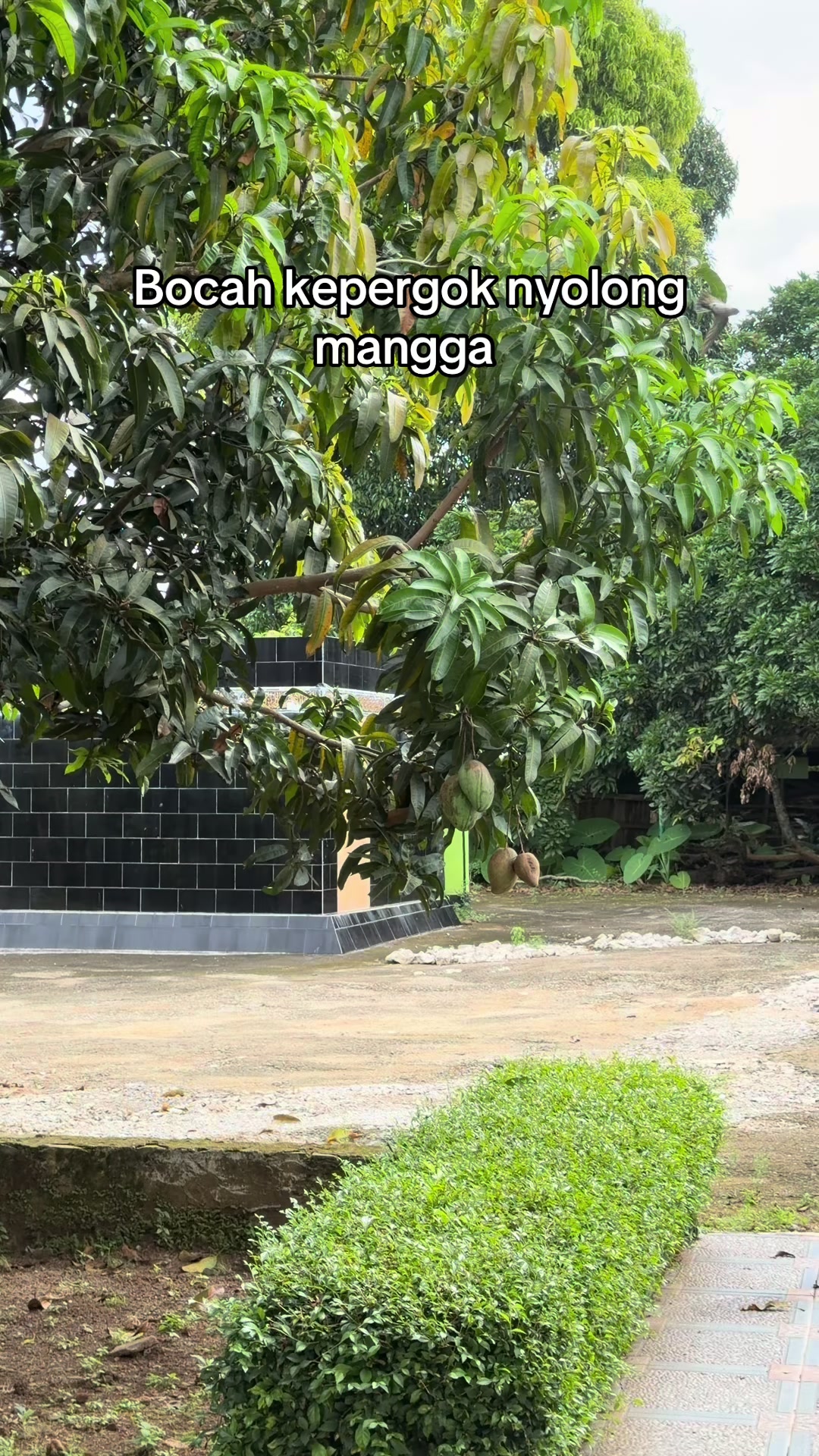 @AgungMerryzky