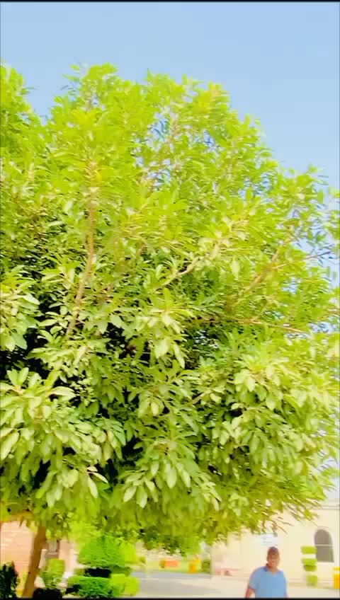 @...sAمEeR..👥🚩