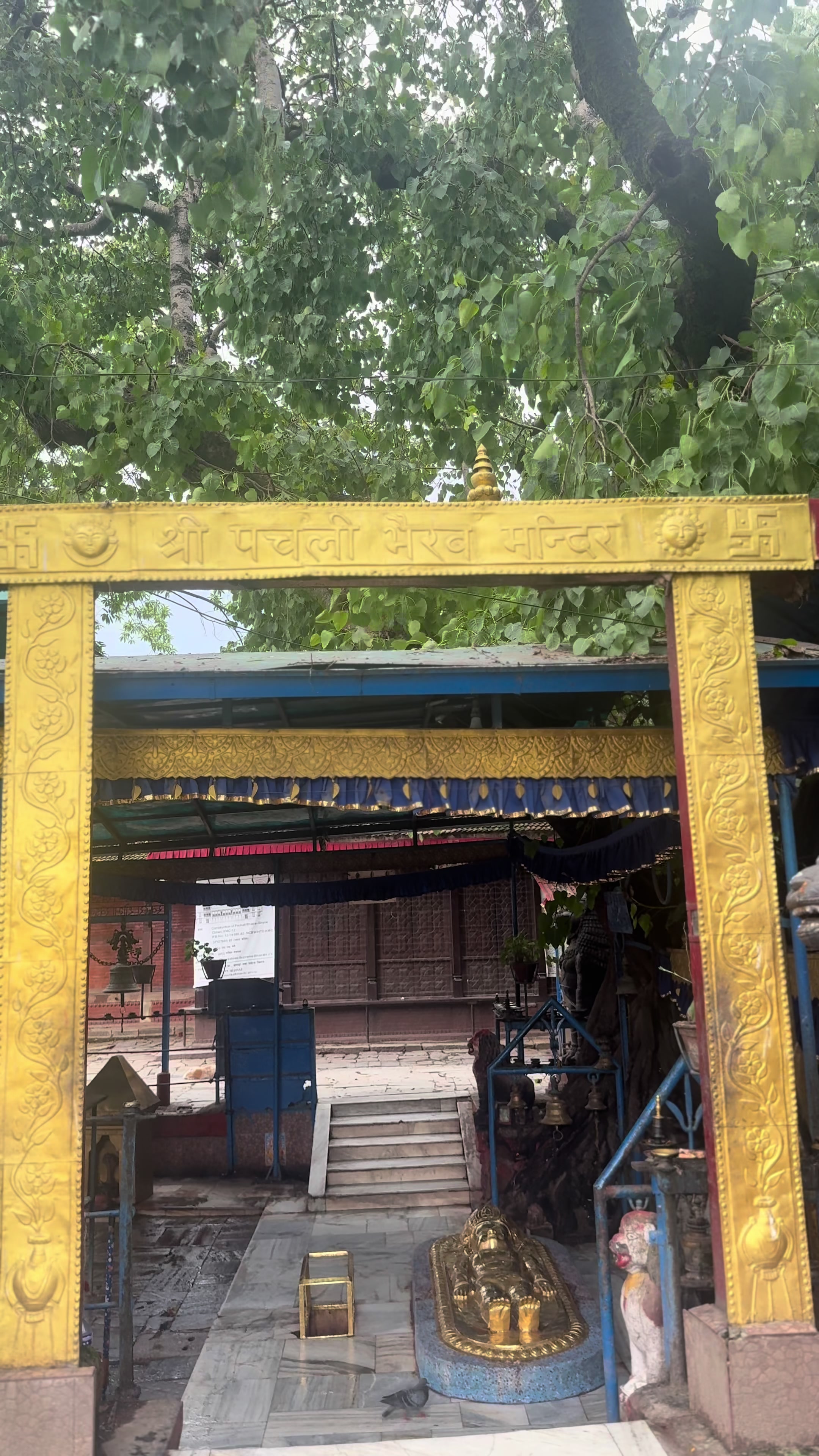 @जात्रा