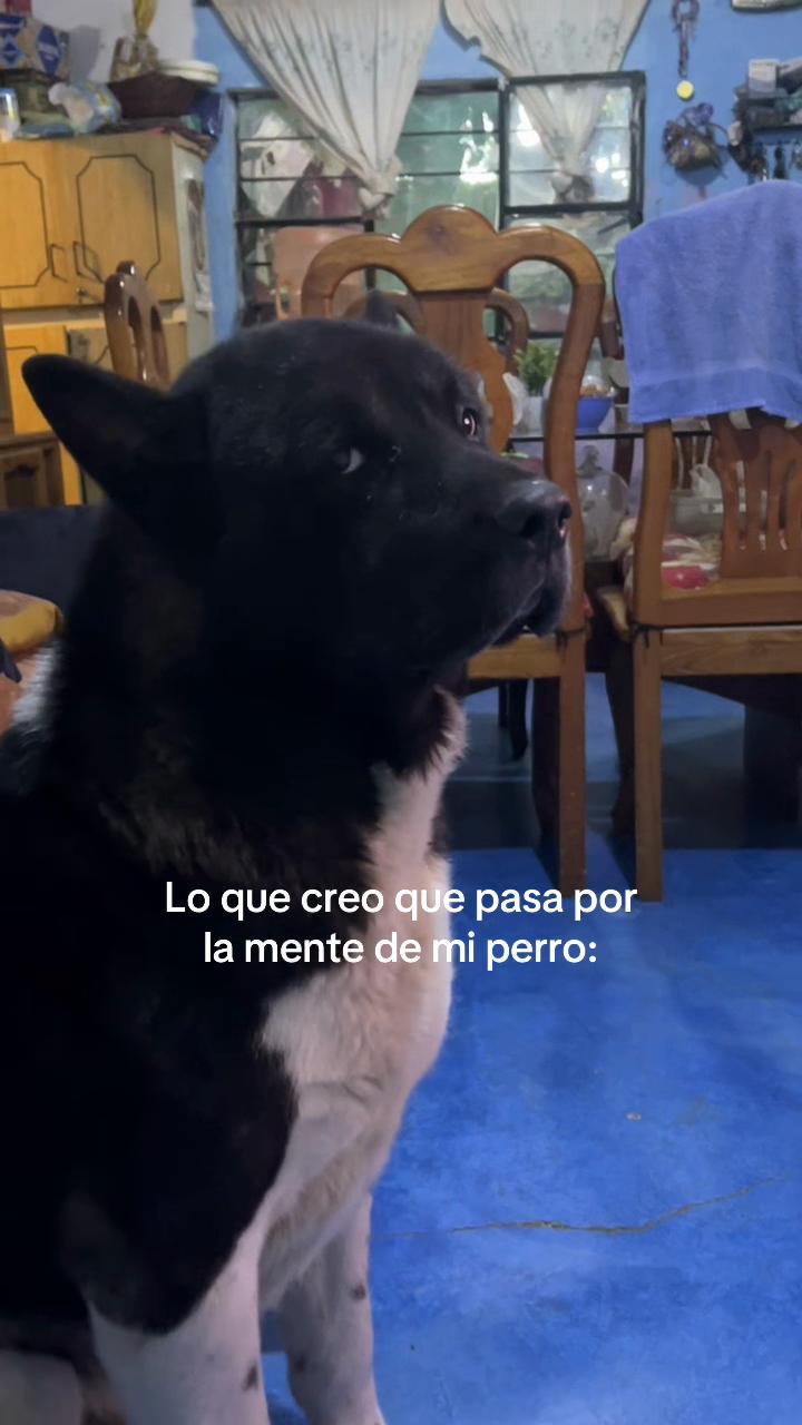 @yoss_luna