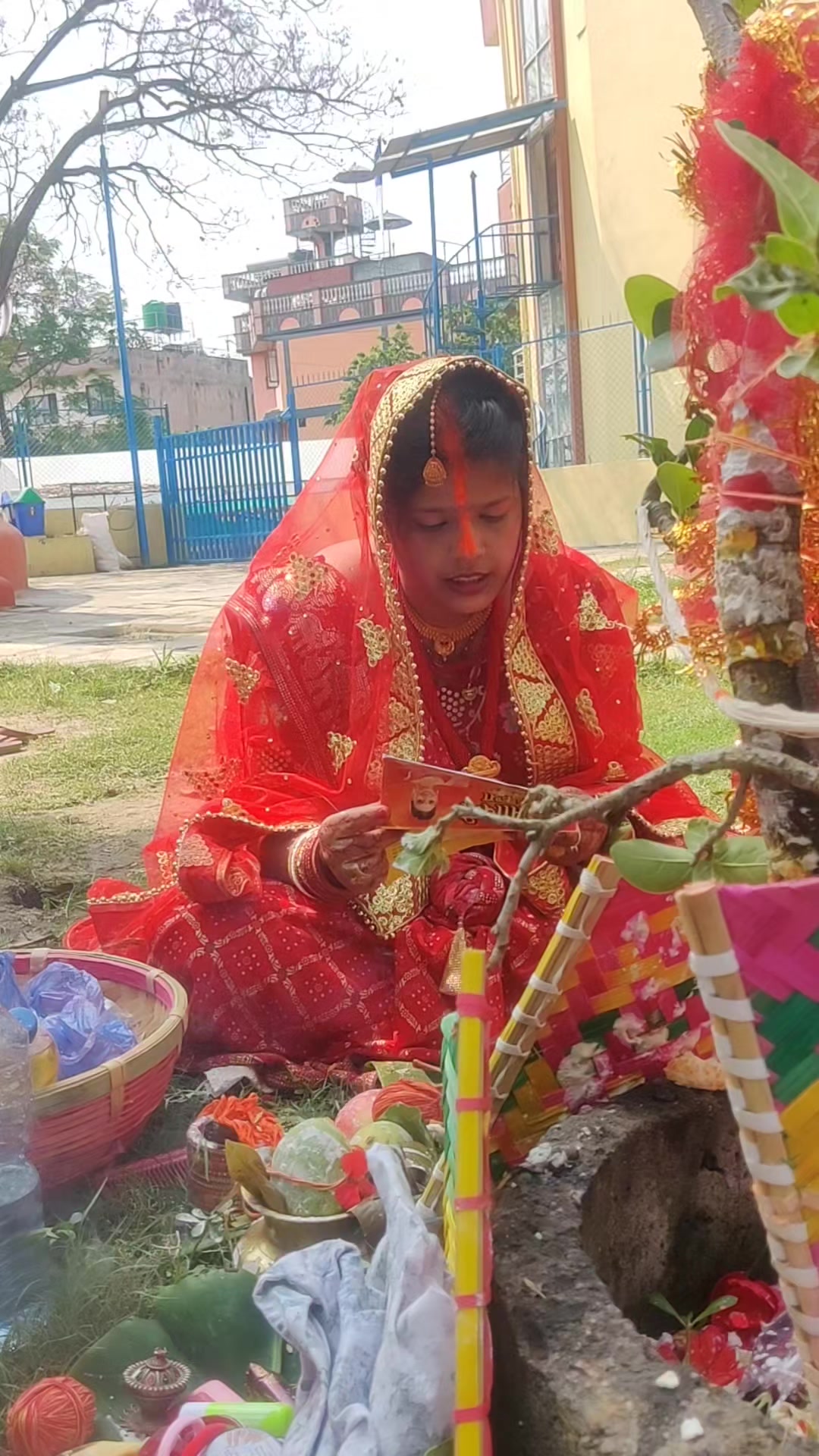 @mamta singh