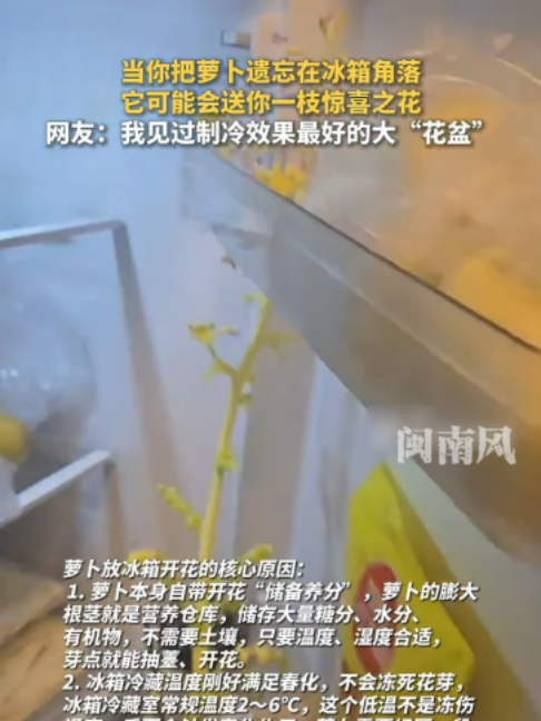 @闽南风~