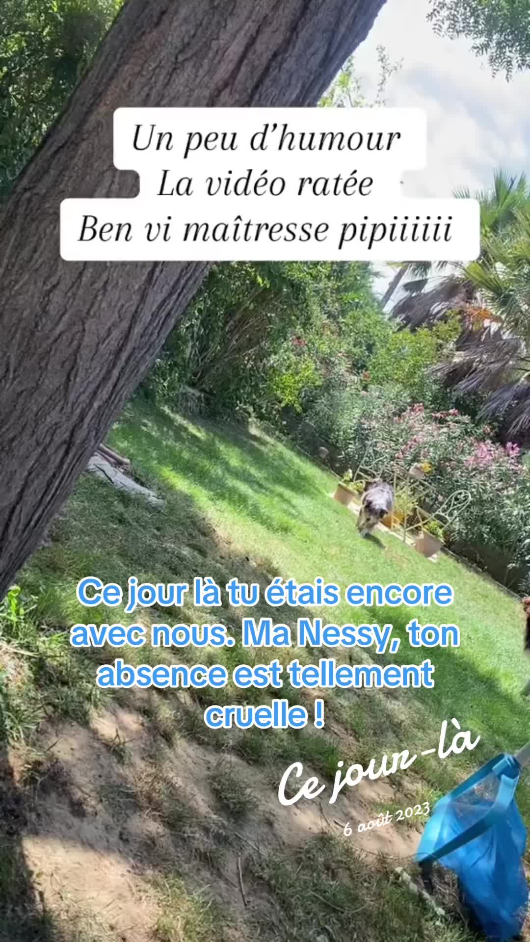 @Sonia Ferrario