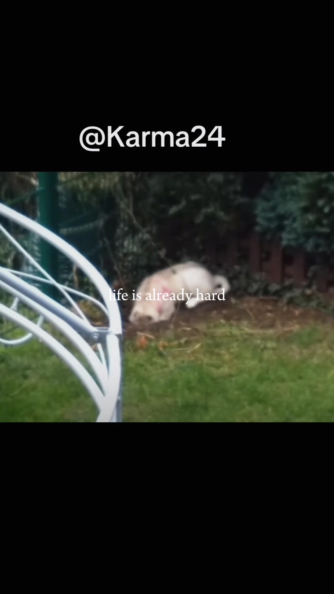 @KARMA2026!