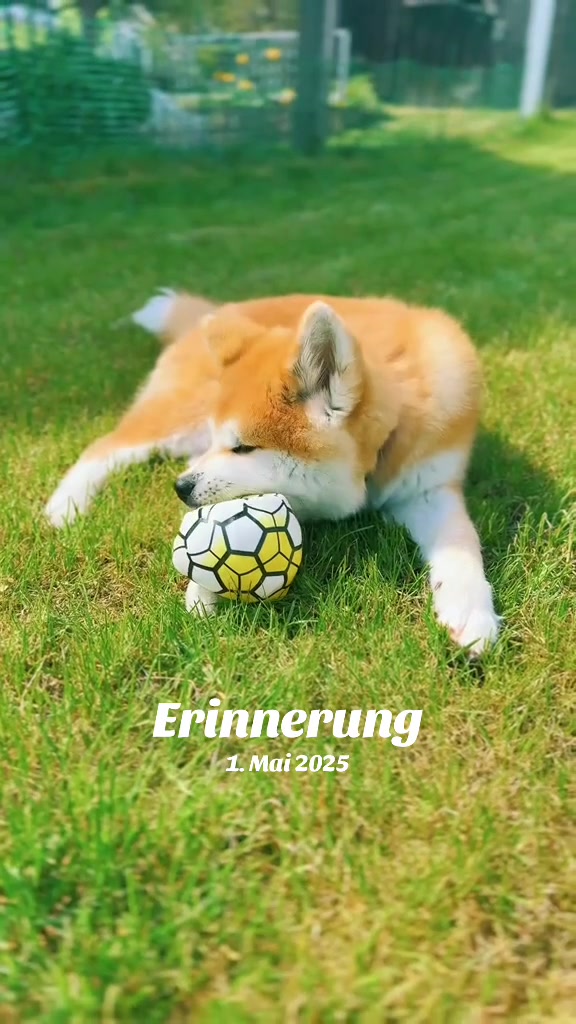 @Kumiko_and_family