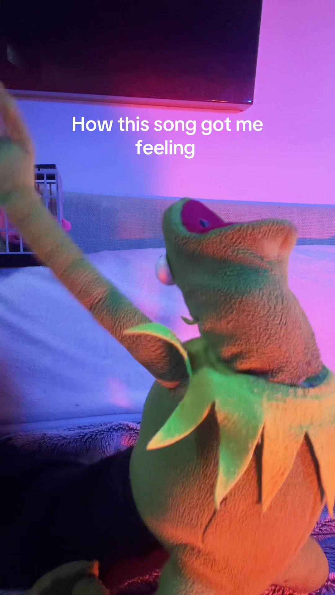@🐸 Crashout Kermy 🐸