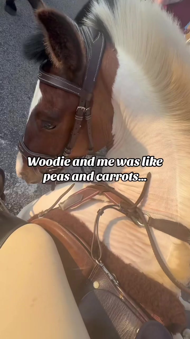 @Lilywiththecobs🐴