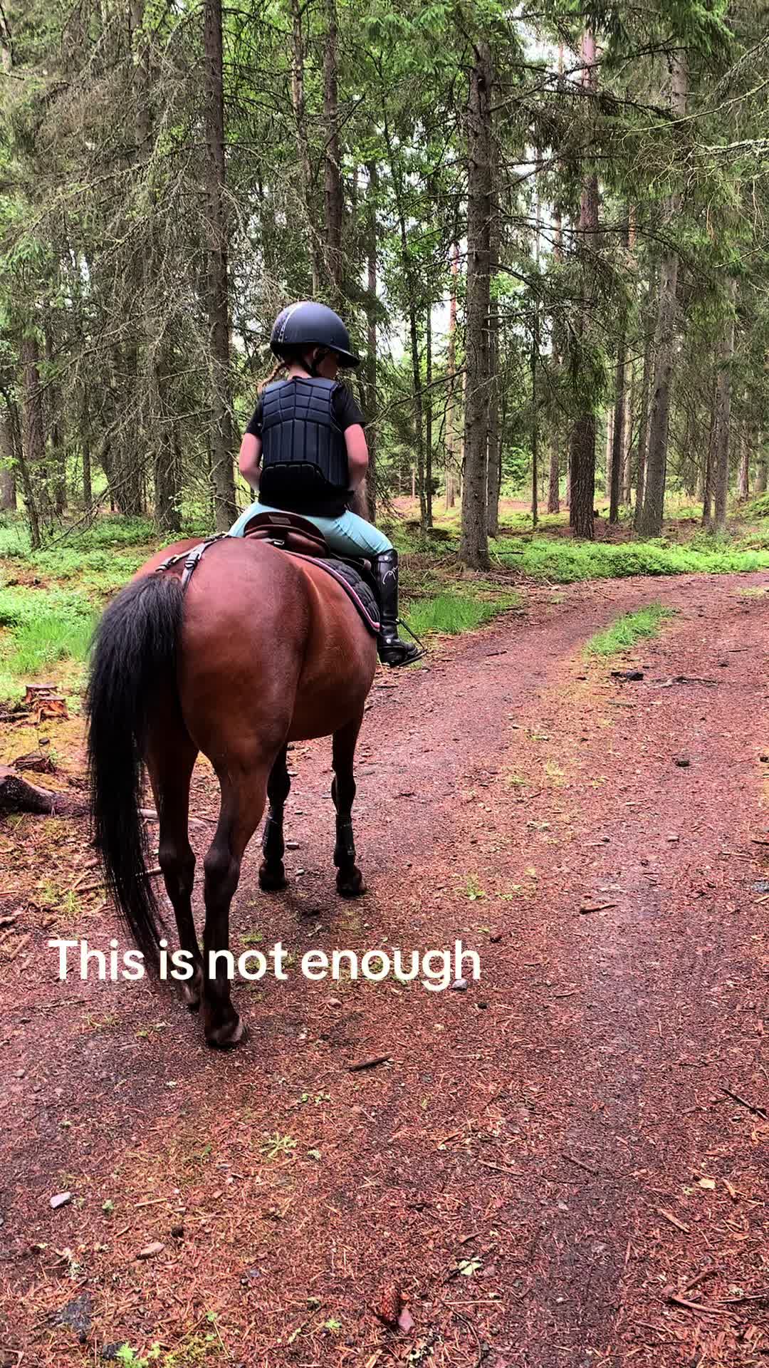 @🇸🇪🦄𝓔𝓵𝓲𝓷 𝓔𝓭𝓺𝓿𝓲𝓼𝓽