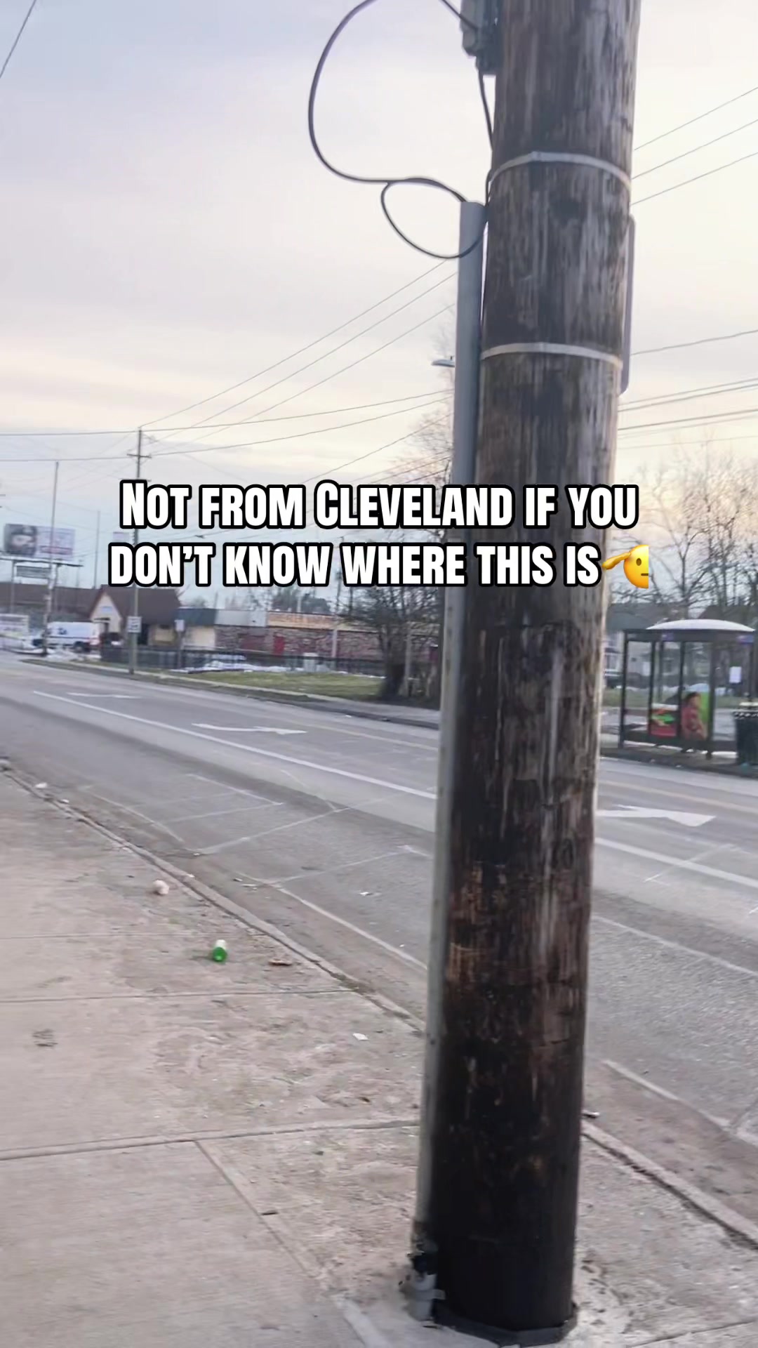 @216v8