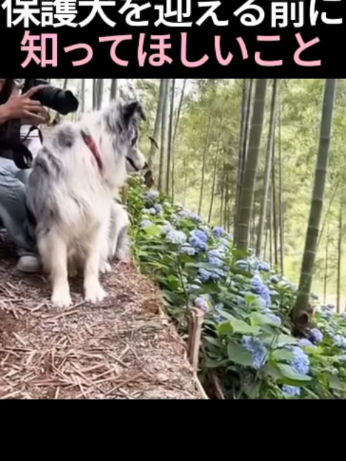 @5qpjptro