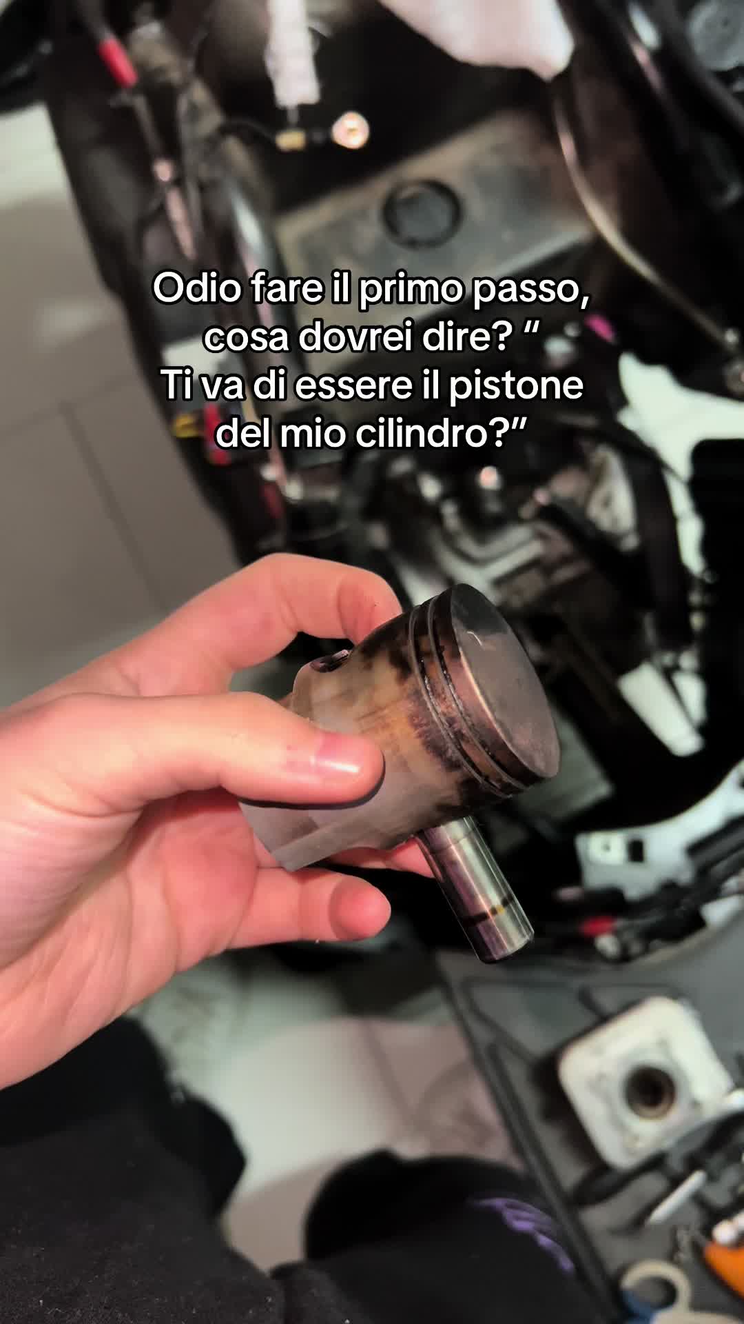 @sofi__tm