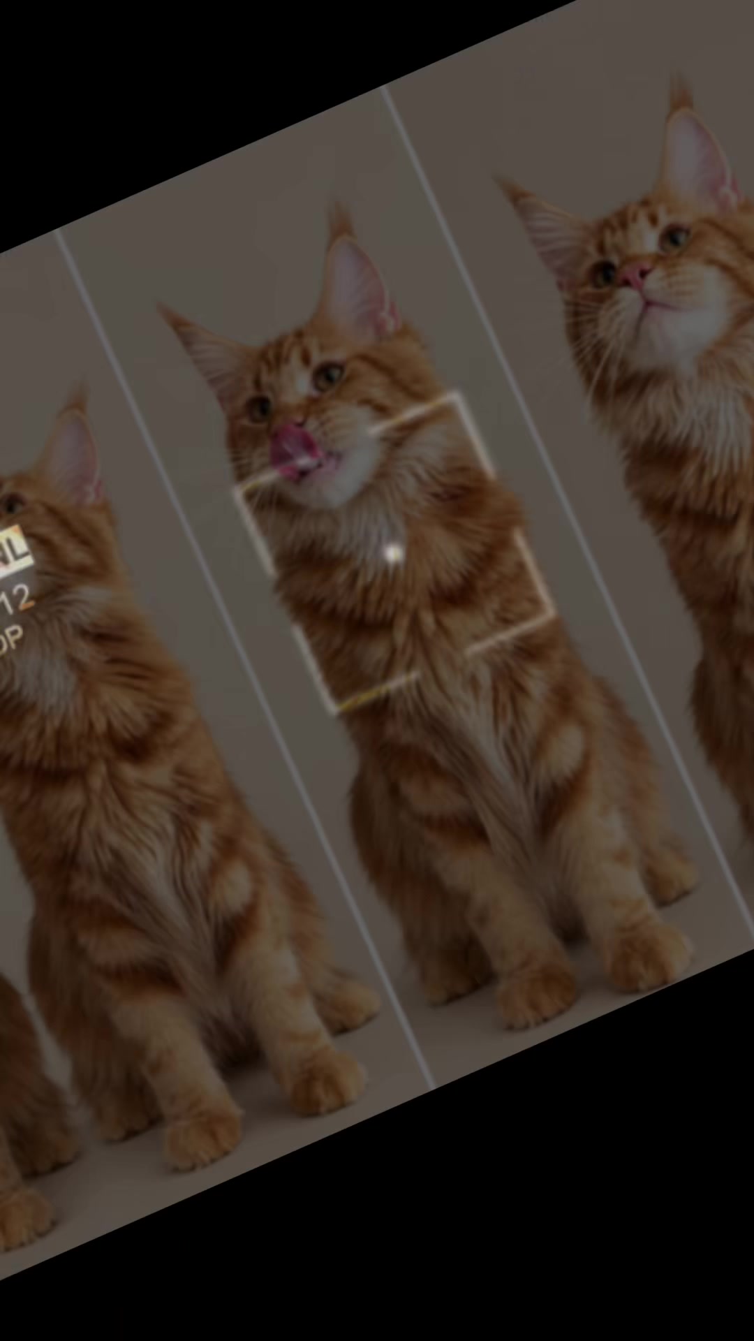 @miss_mercedesbenz