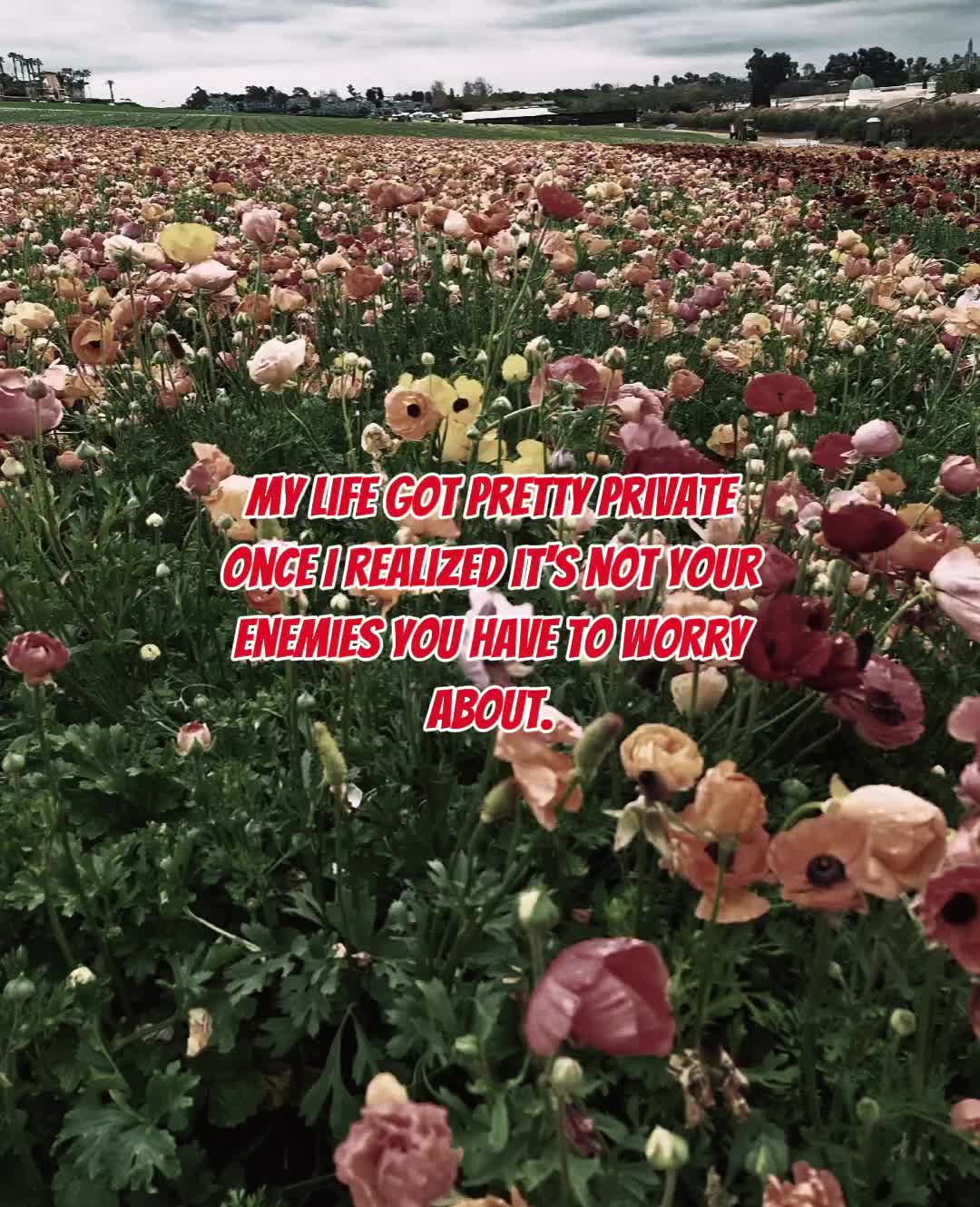 @Michelle R
