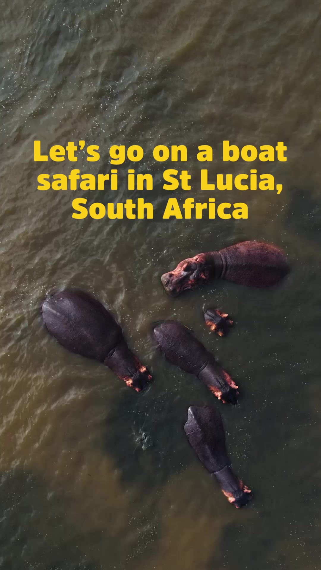 @South Africa UK