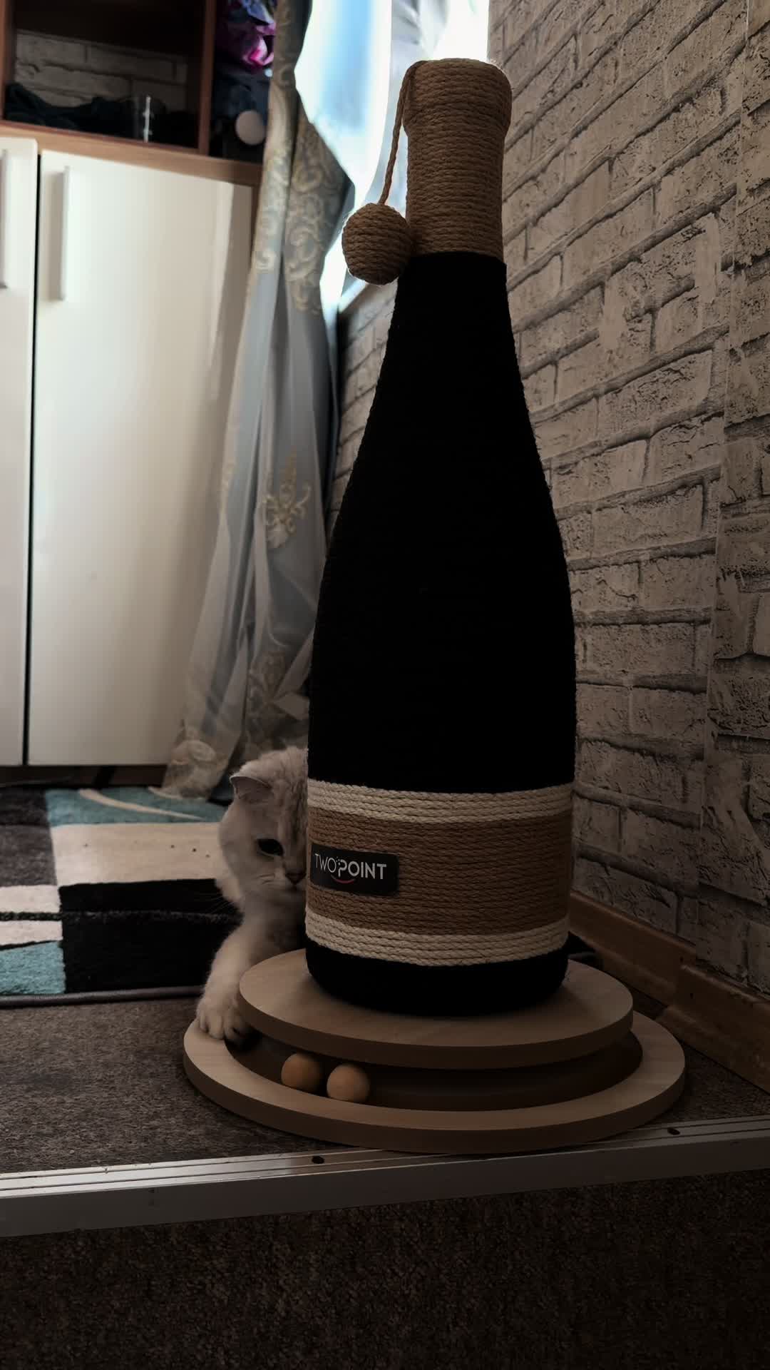 @Miy✨🐰