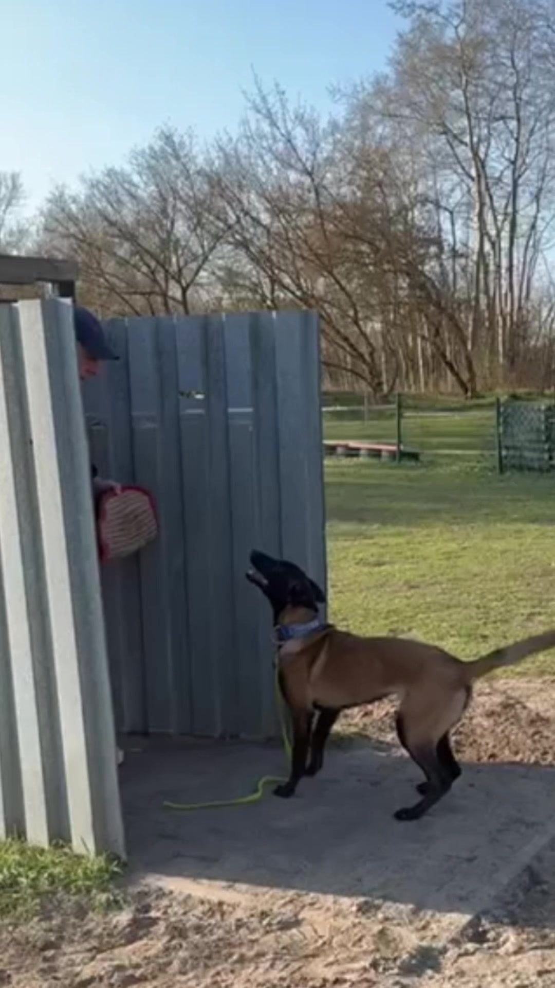 @Jasi&Tobi Dogsport