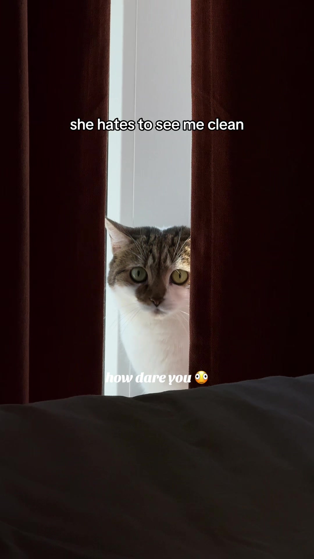 @Suki Purrs