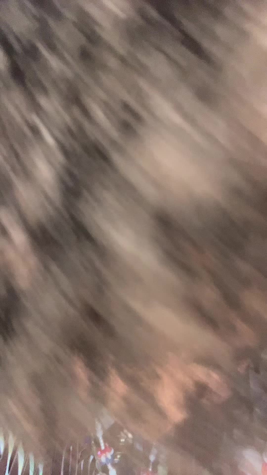 @hippibug