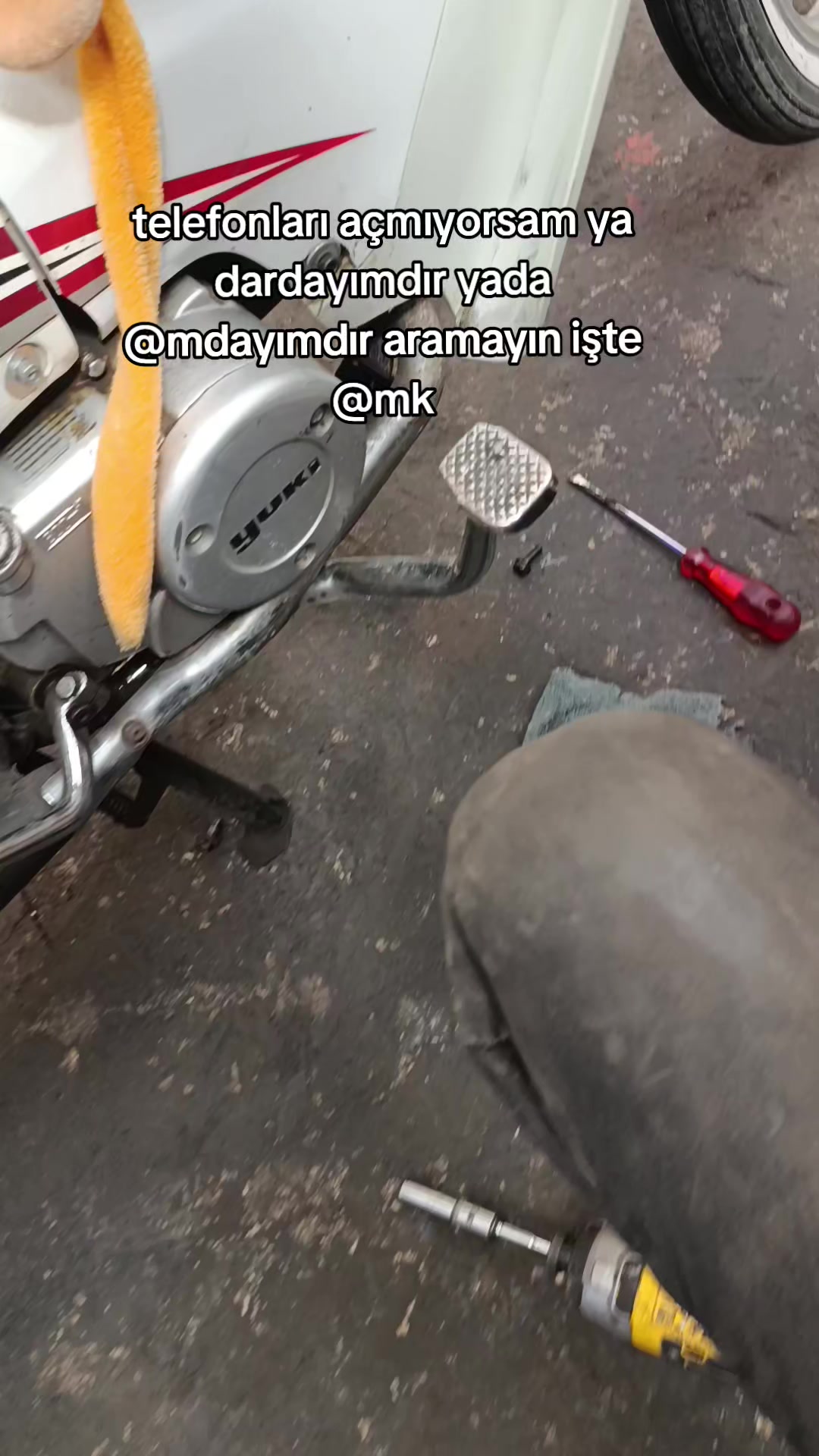 @Haydar uzun✍️